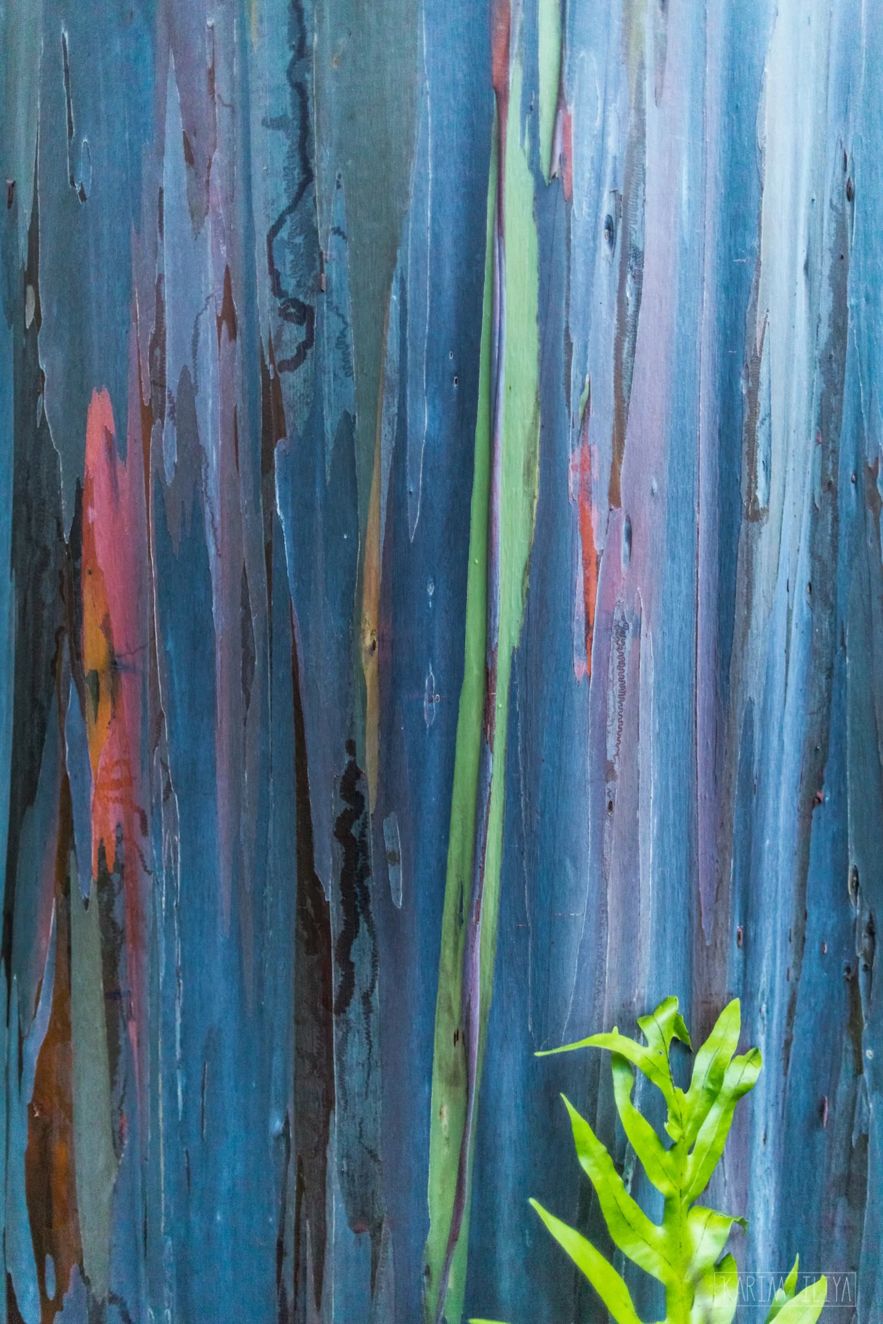karim-iliya-nature-texture-earth-photography.jpg