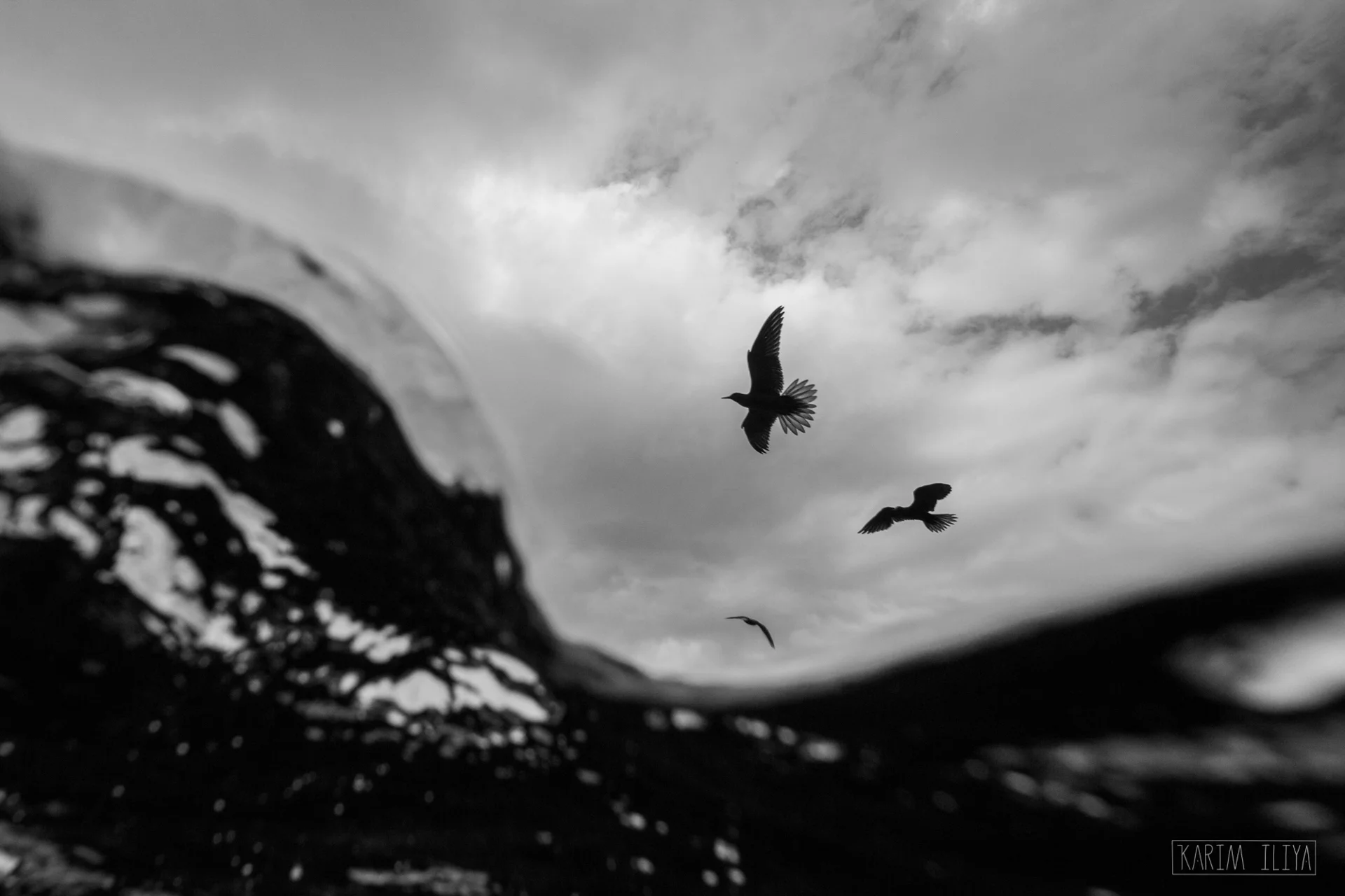 KARIM-ILIYA-SEABIRDS-UNDERWATER-SKY-PHOTOGRAPHY.jpg