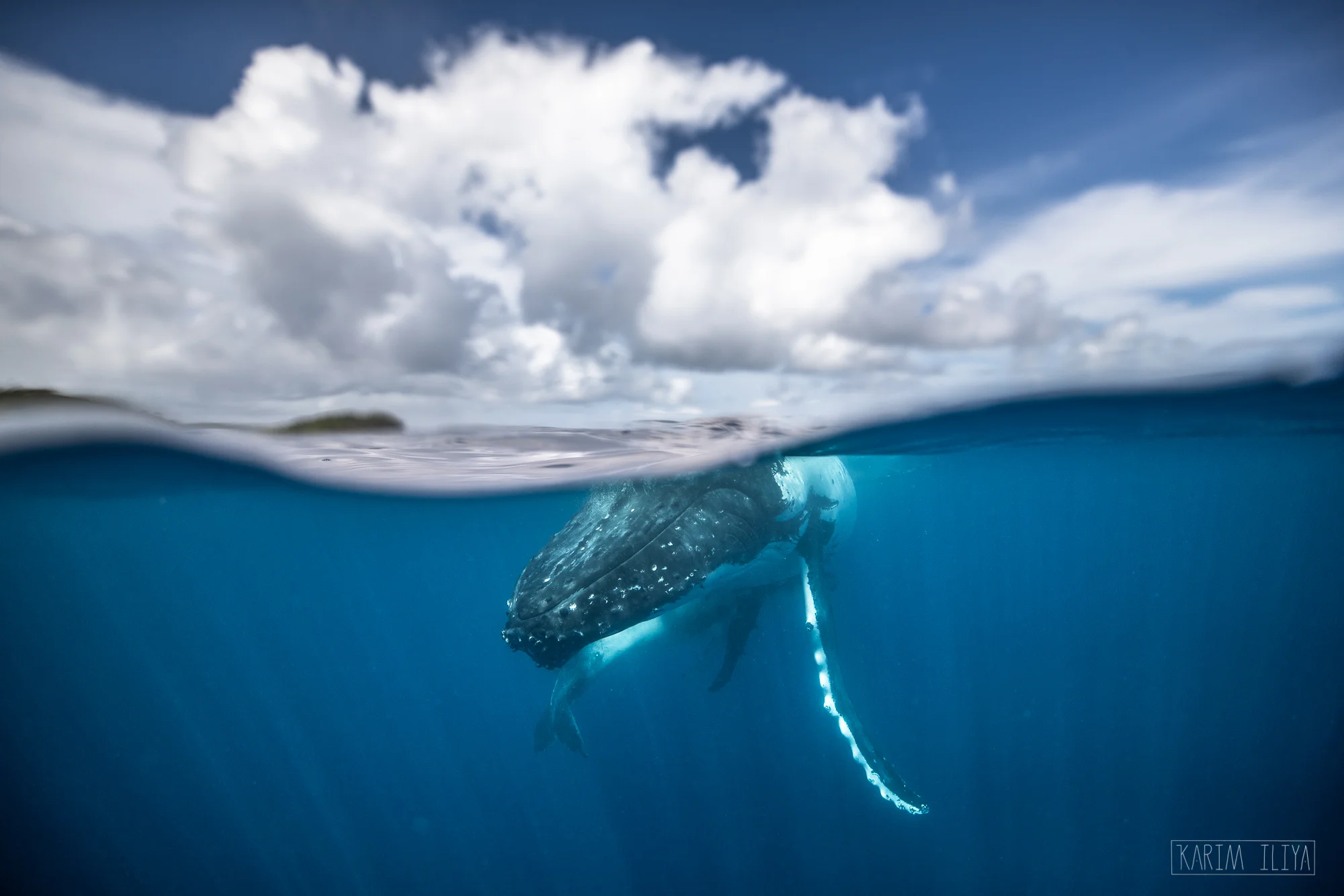 half-split-underwater-photoraphy.jpg