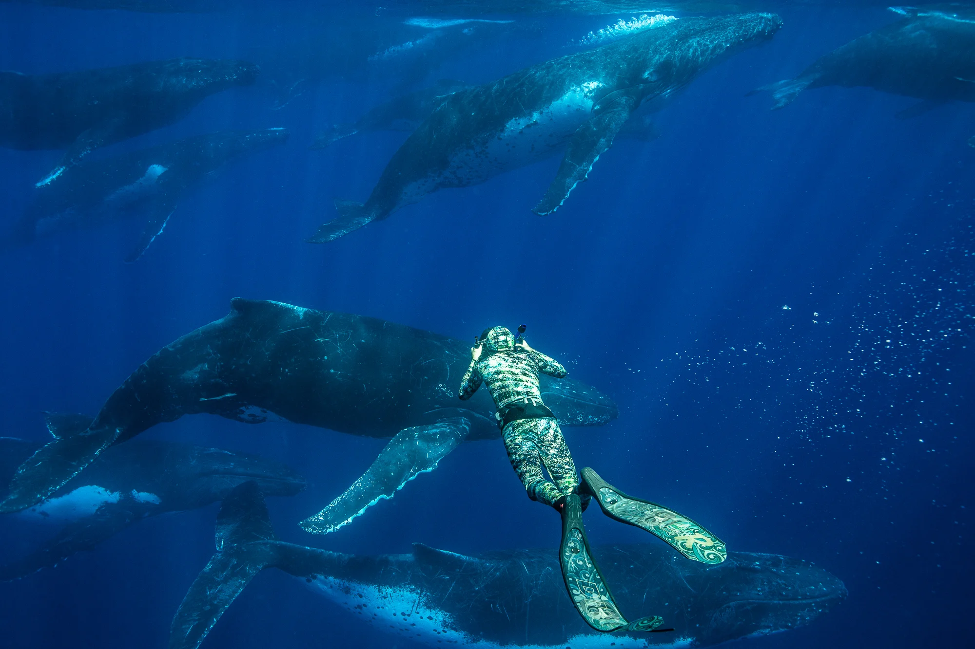 karim-swimming-with-whales-matt-R.jpg