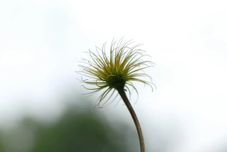 87e6c6bb7d634445d365435c99a24e8a-83ae6a3b87128f6443c847e1759313e3.jpg