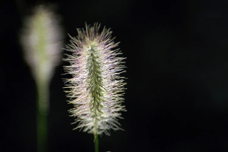 110616577e53cd20d3ef5fe019a52a48-9d72ed54331c0accf6fb7fdae6fb3ab3.jpg