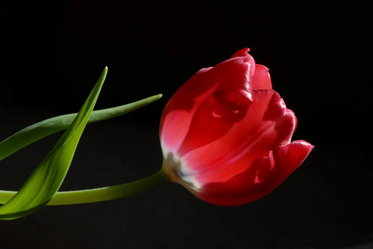 c98d4f78b89b400d3806343edbce1f03-8fea2fc07b0c51d240f7009fddbf7802.jpg
