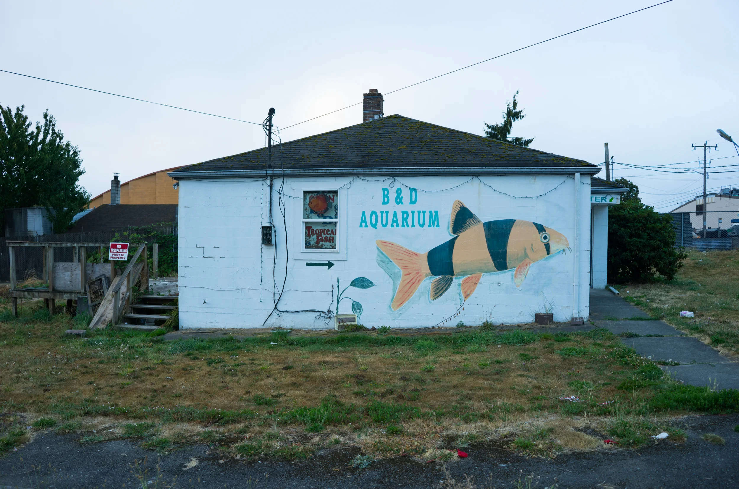 B & D Aquarium-2.jpg