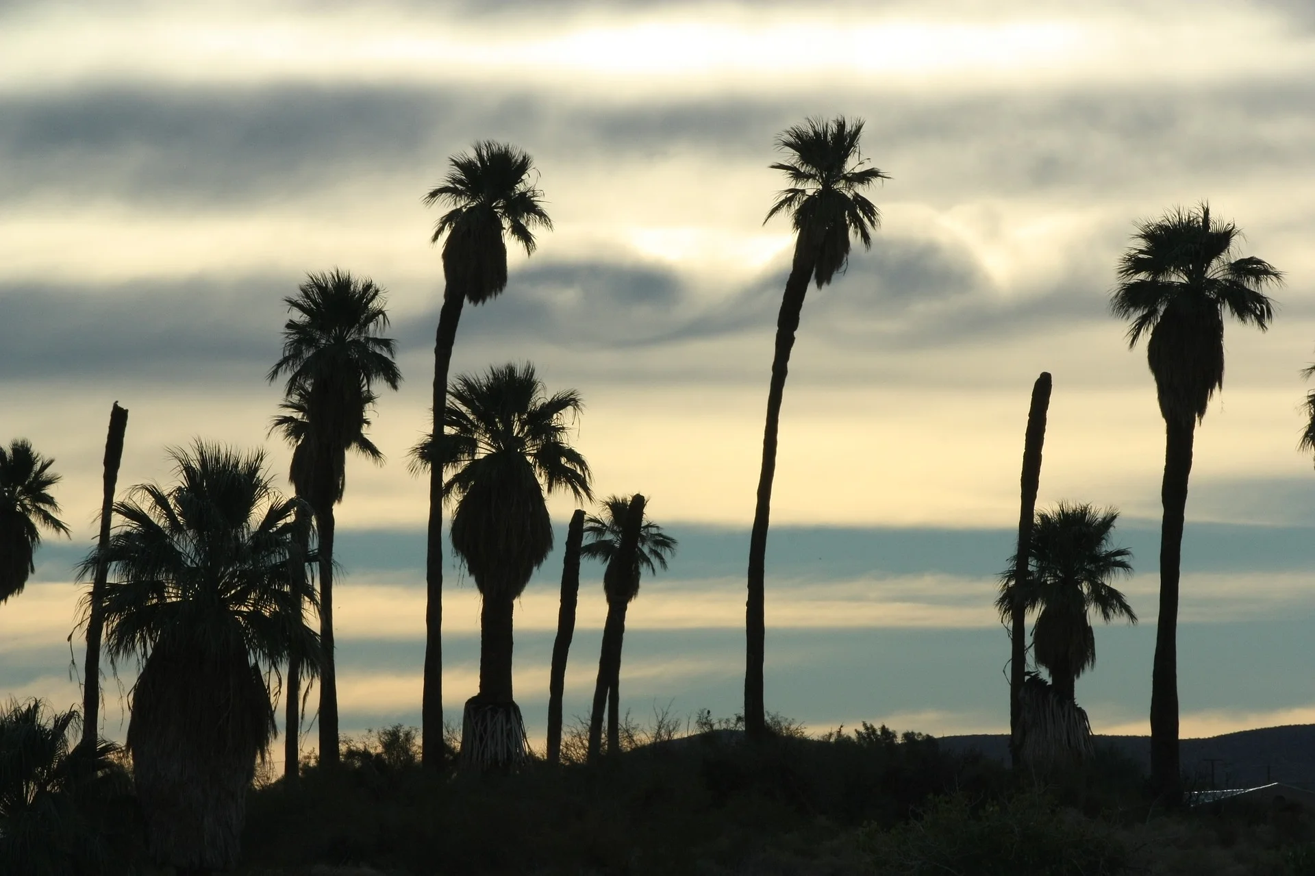 sunset-1563673_1920.jpg
