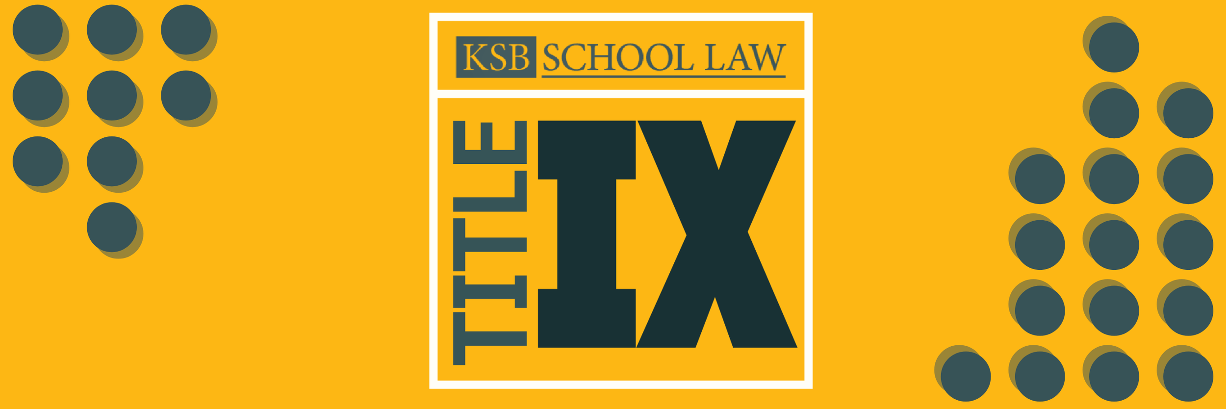 title ix tile.webp