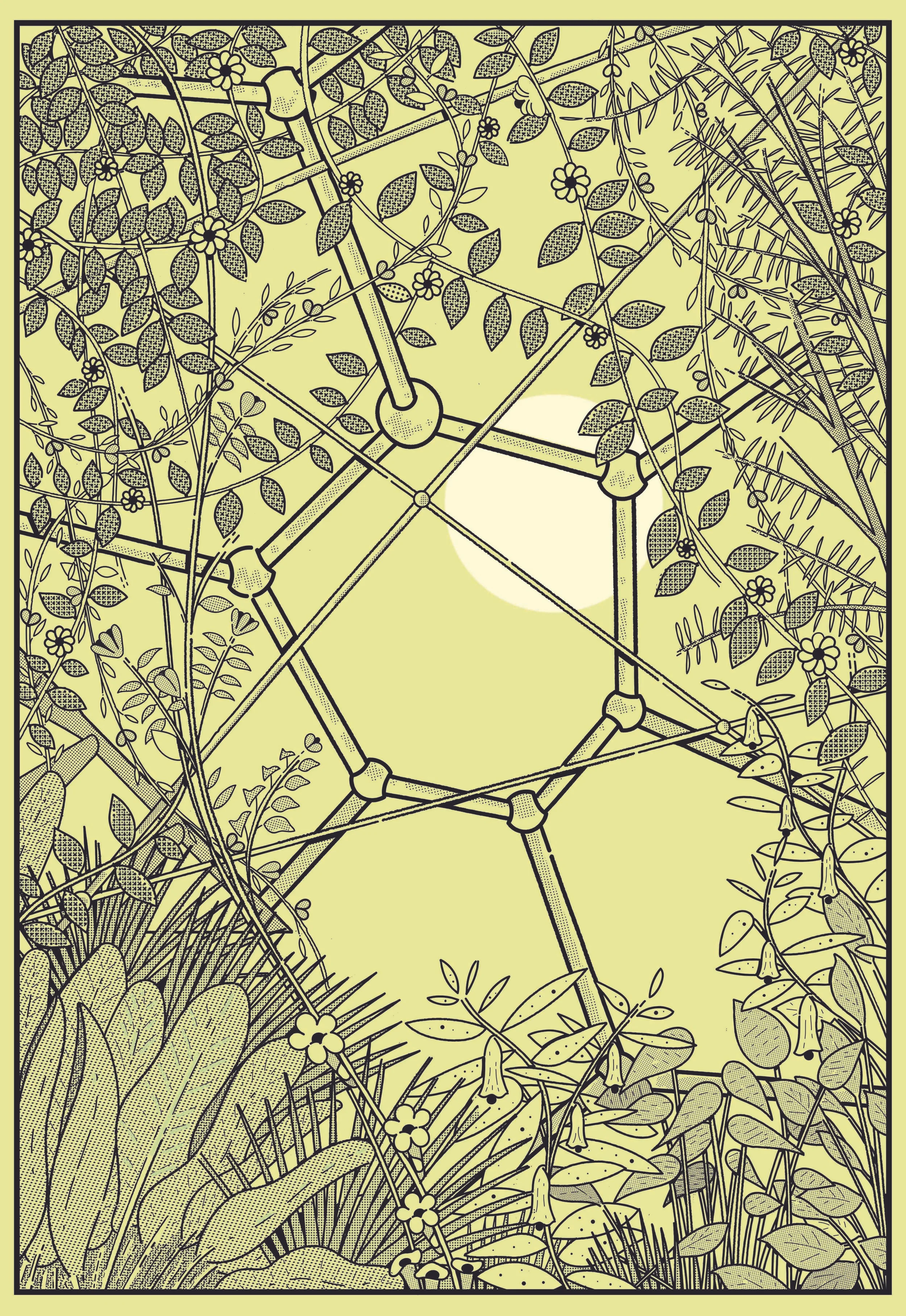 Eden Project print