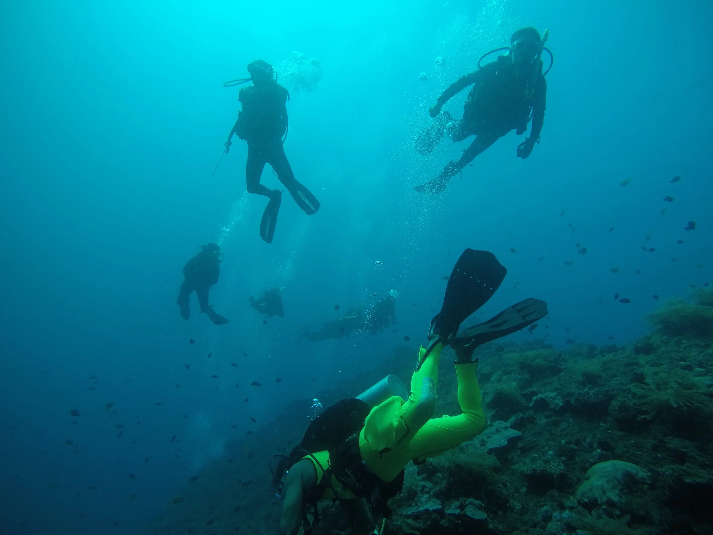 Underwater world @Tulamben with our "Scuba Master" Avandy in the neon suit 