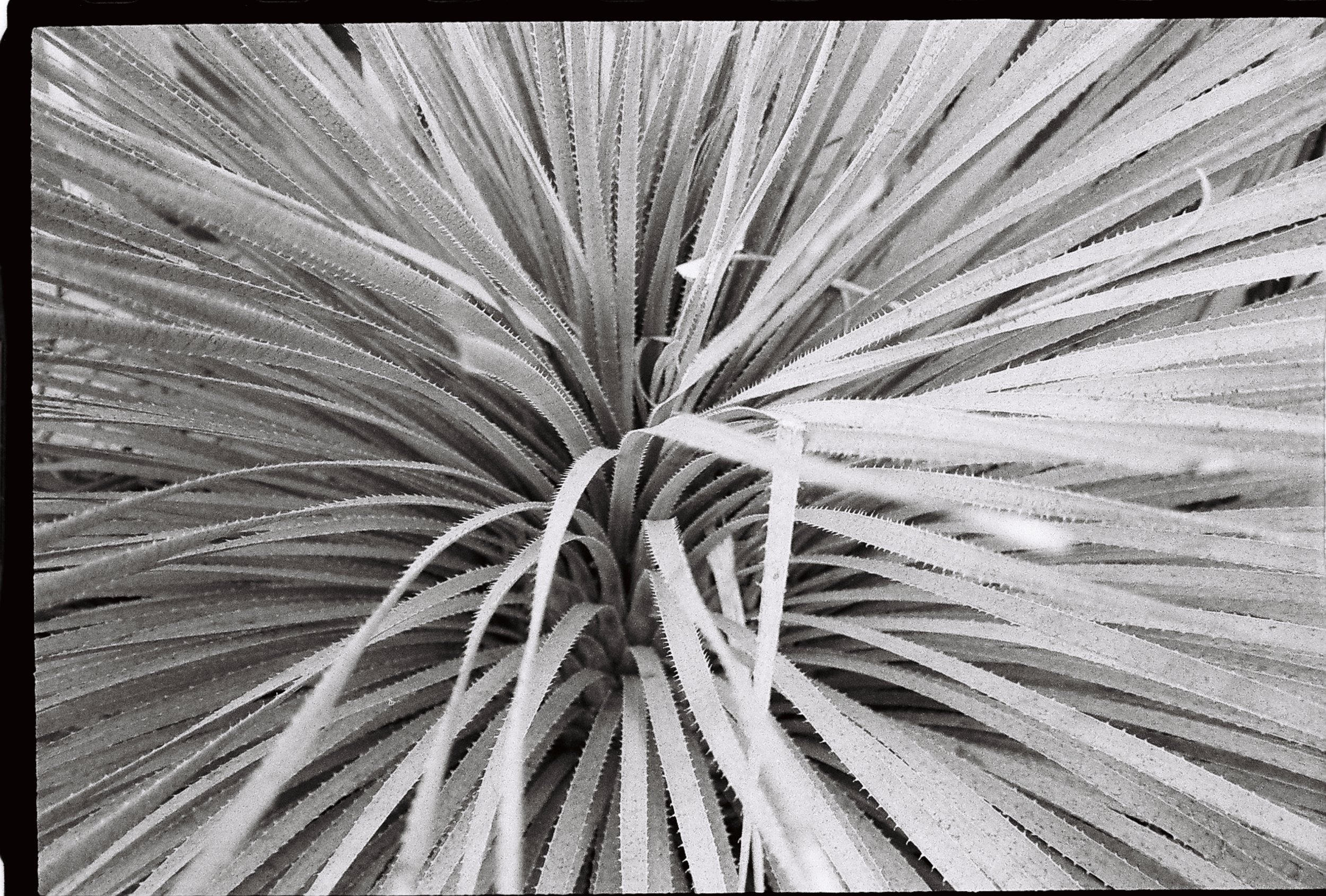 R1-09615-0013.JPG