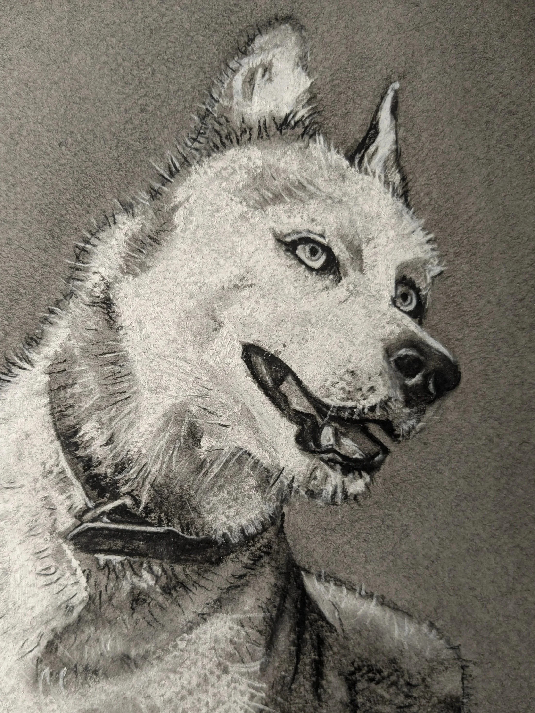 Charcoal Illustrations