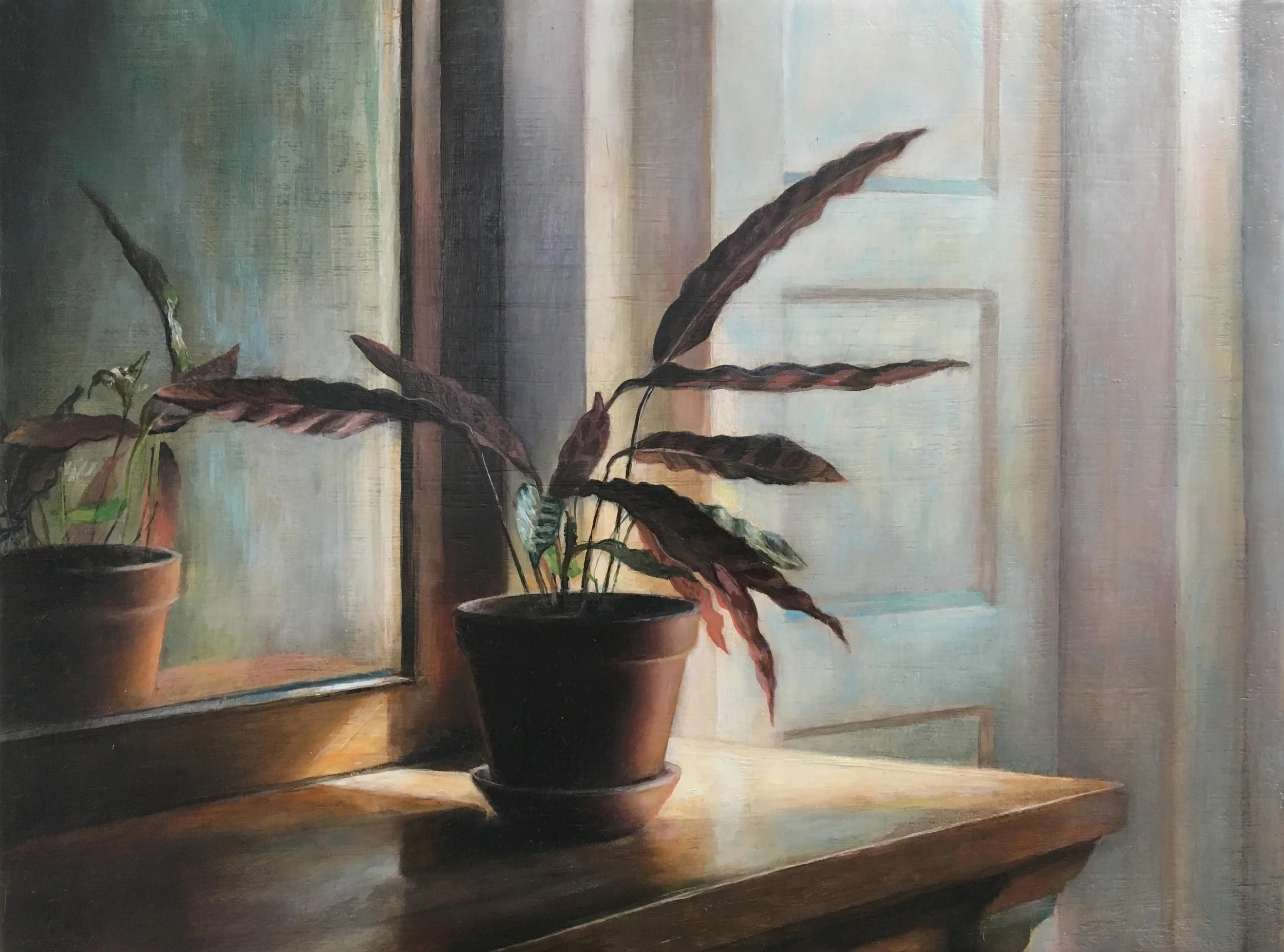 Rattlesnake Plant 2017 Oil on linen 9 x 12 inches