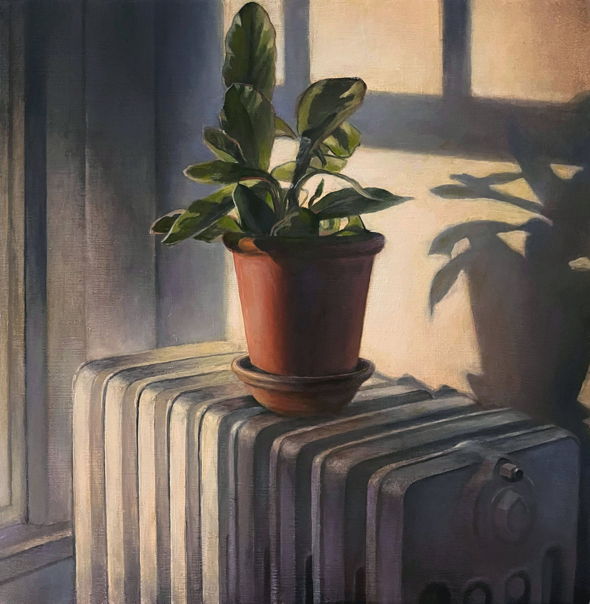   Houseplant in Light   2023  Oil on linen over panel  10 x 10 inches   