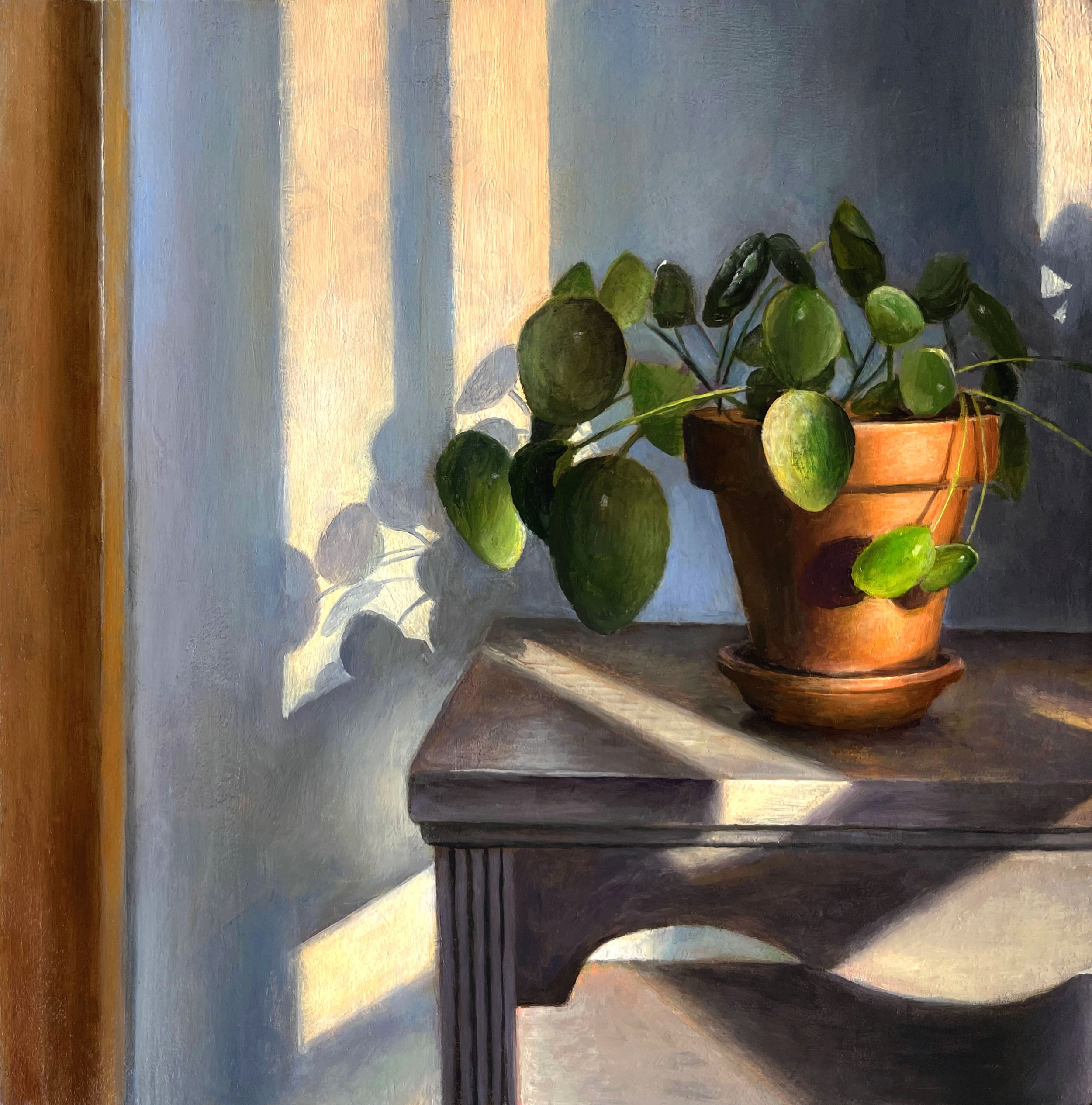   Plant in Window Light   2023  Oil on linen over panel  8 x 8 inches   