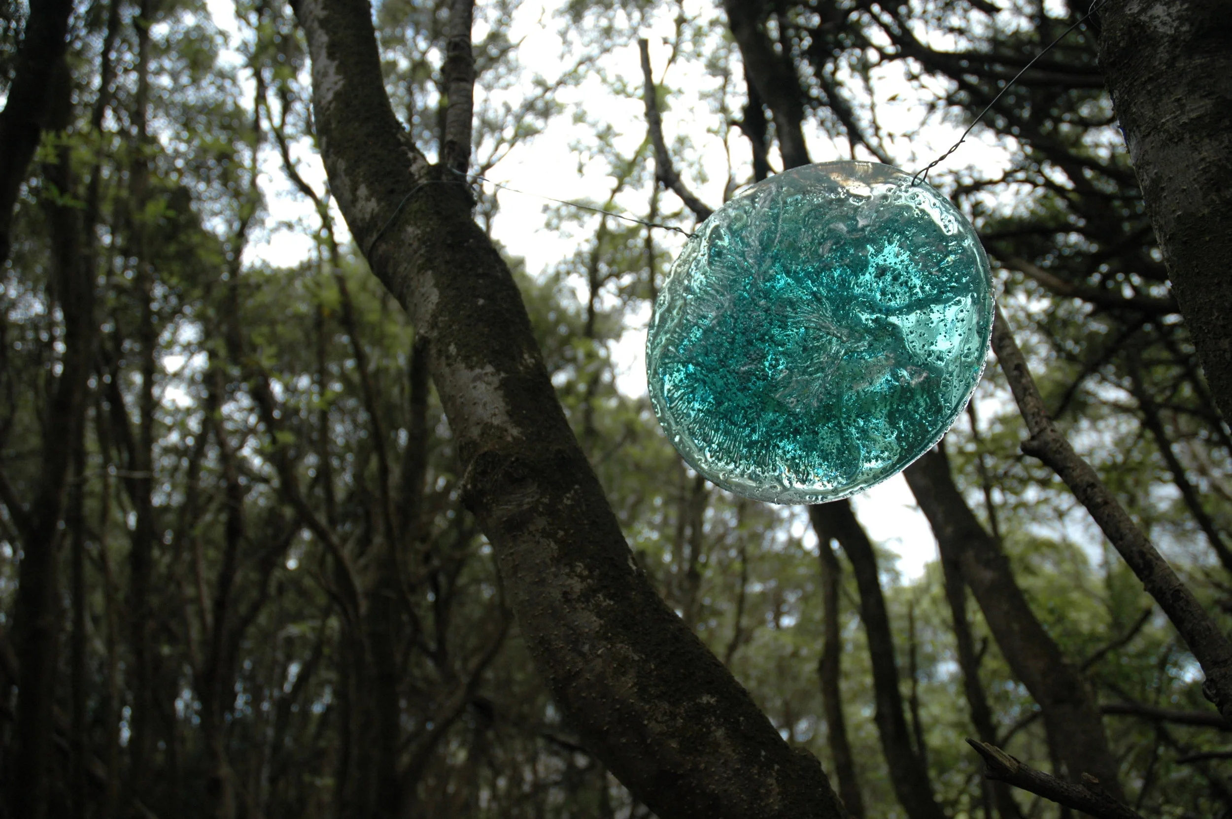 DSC_0234.JPG