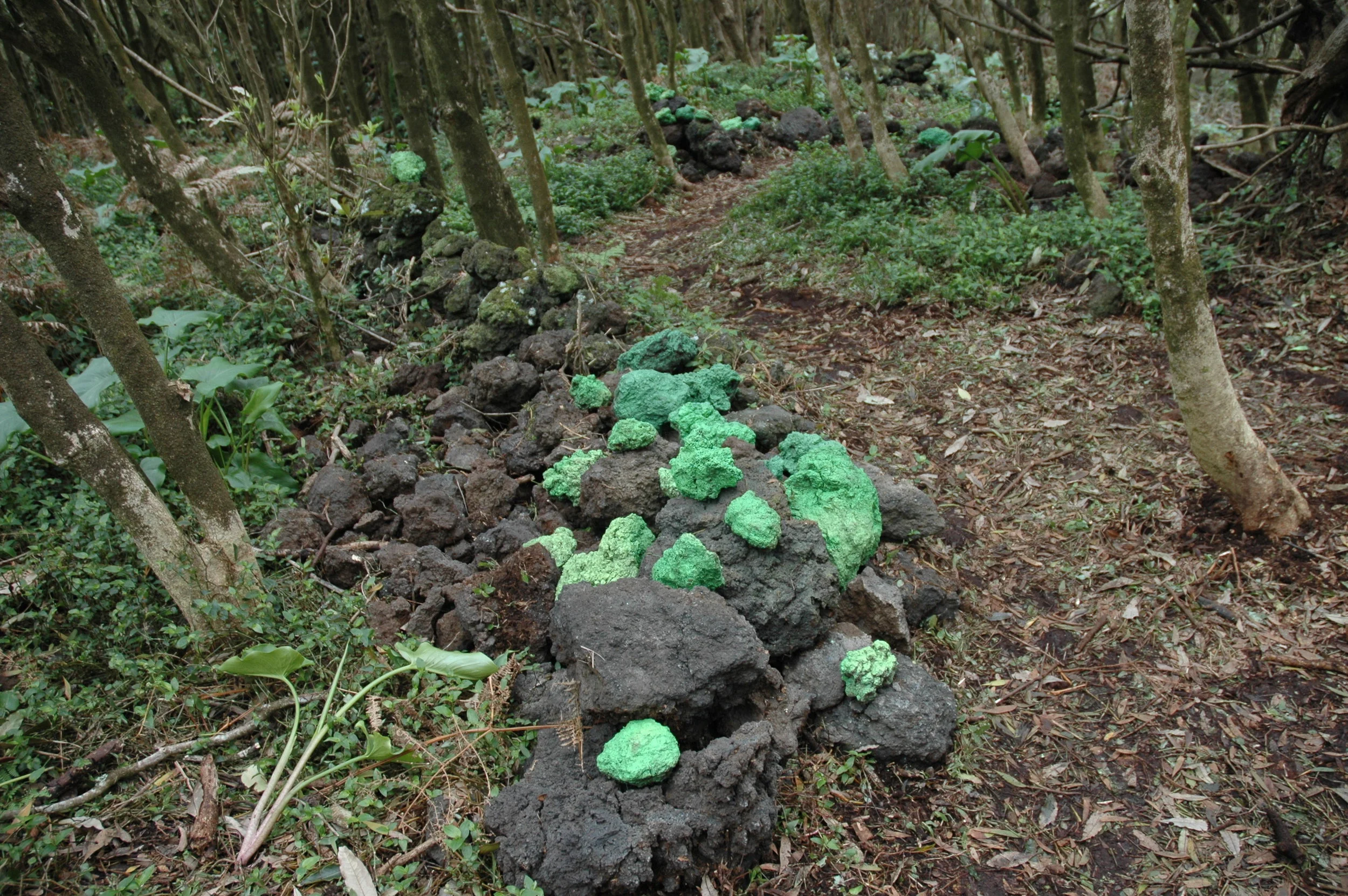 DSC_0226.JPG