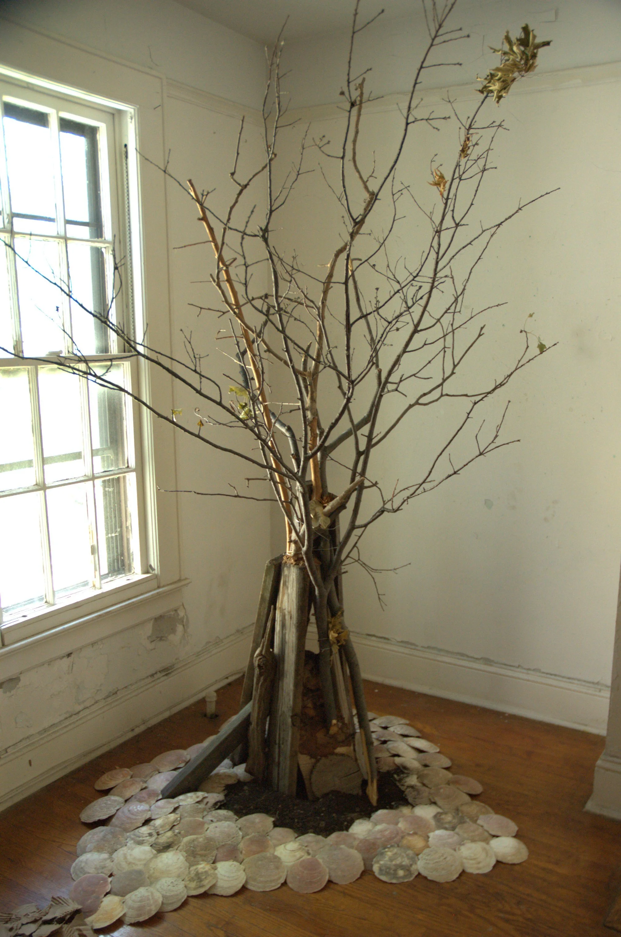 Two Trees3.jpg