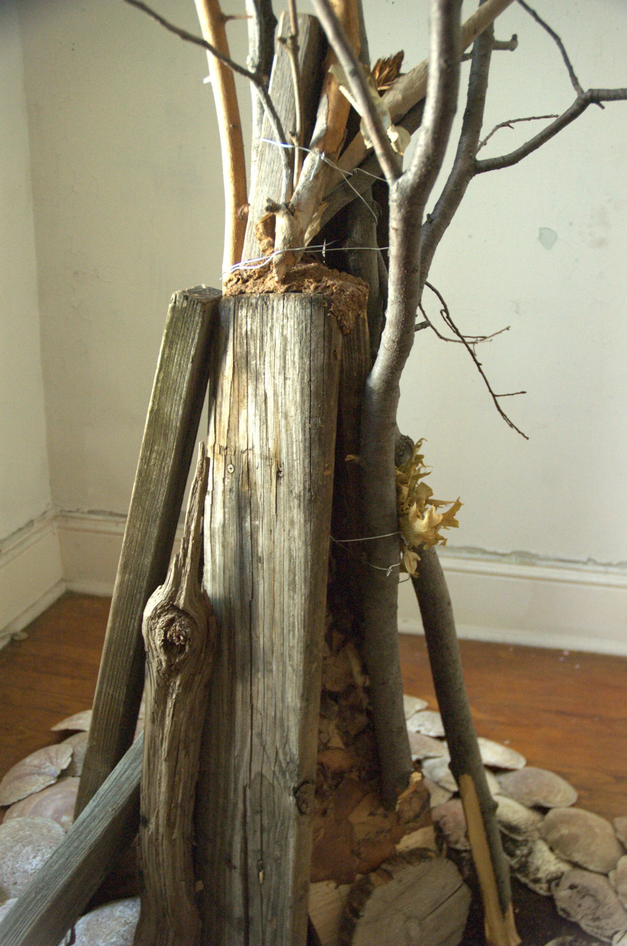 Two Trees6.jpg
