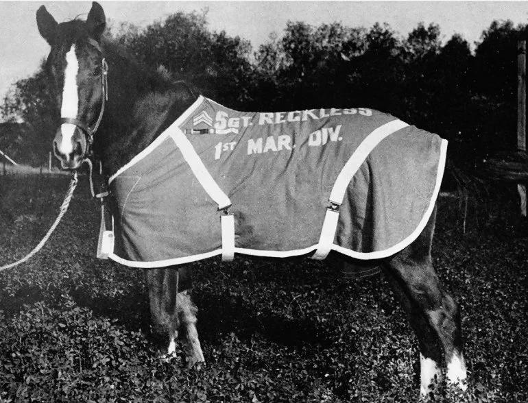 Staff Sergeant Reckless