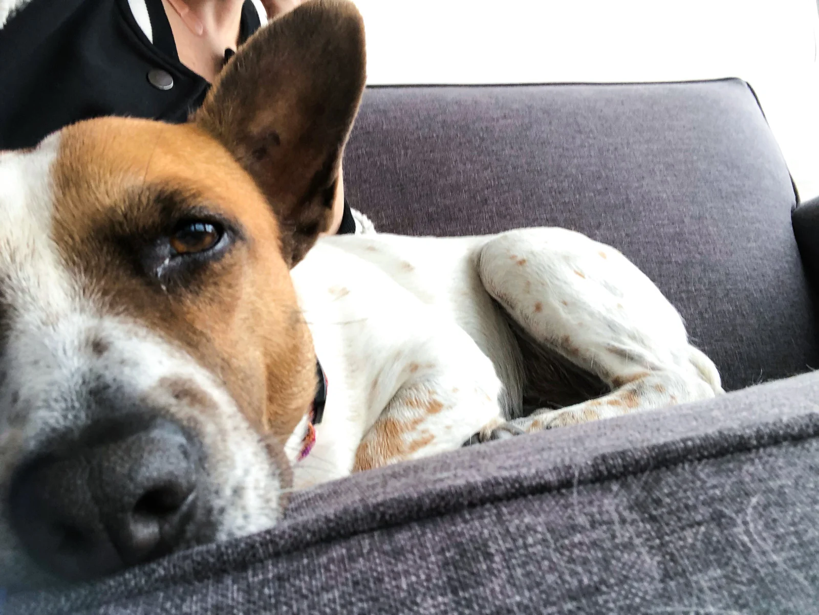 Woof. Some Fridays really take it out of you.