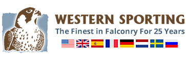 ws-logo.jpg