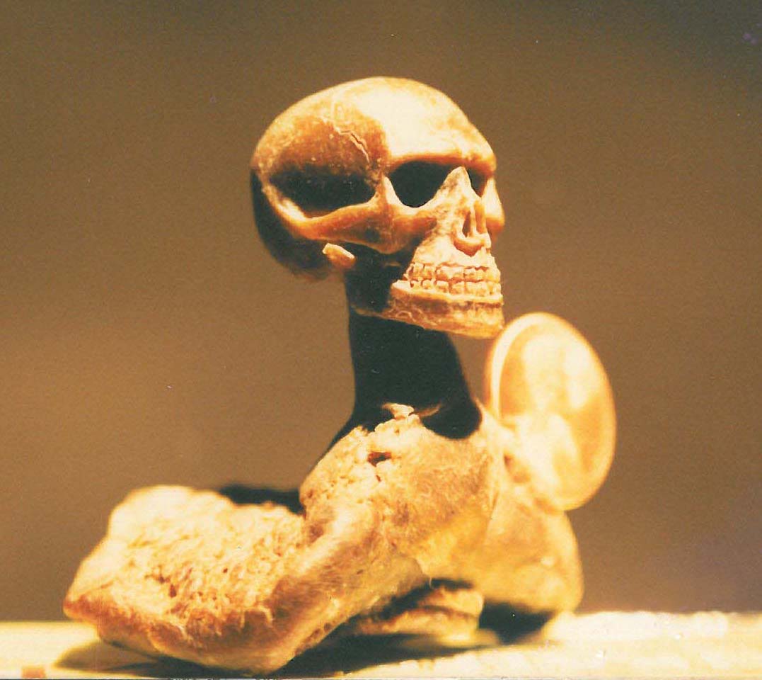 wax skull.jpg