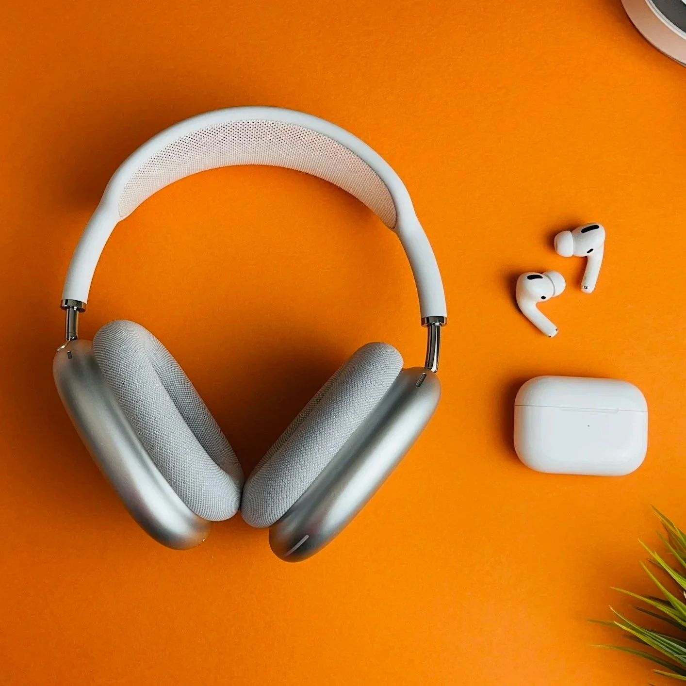 unsplash-image-Q2uV5TkjNz8.jpg