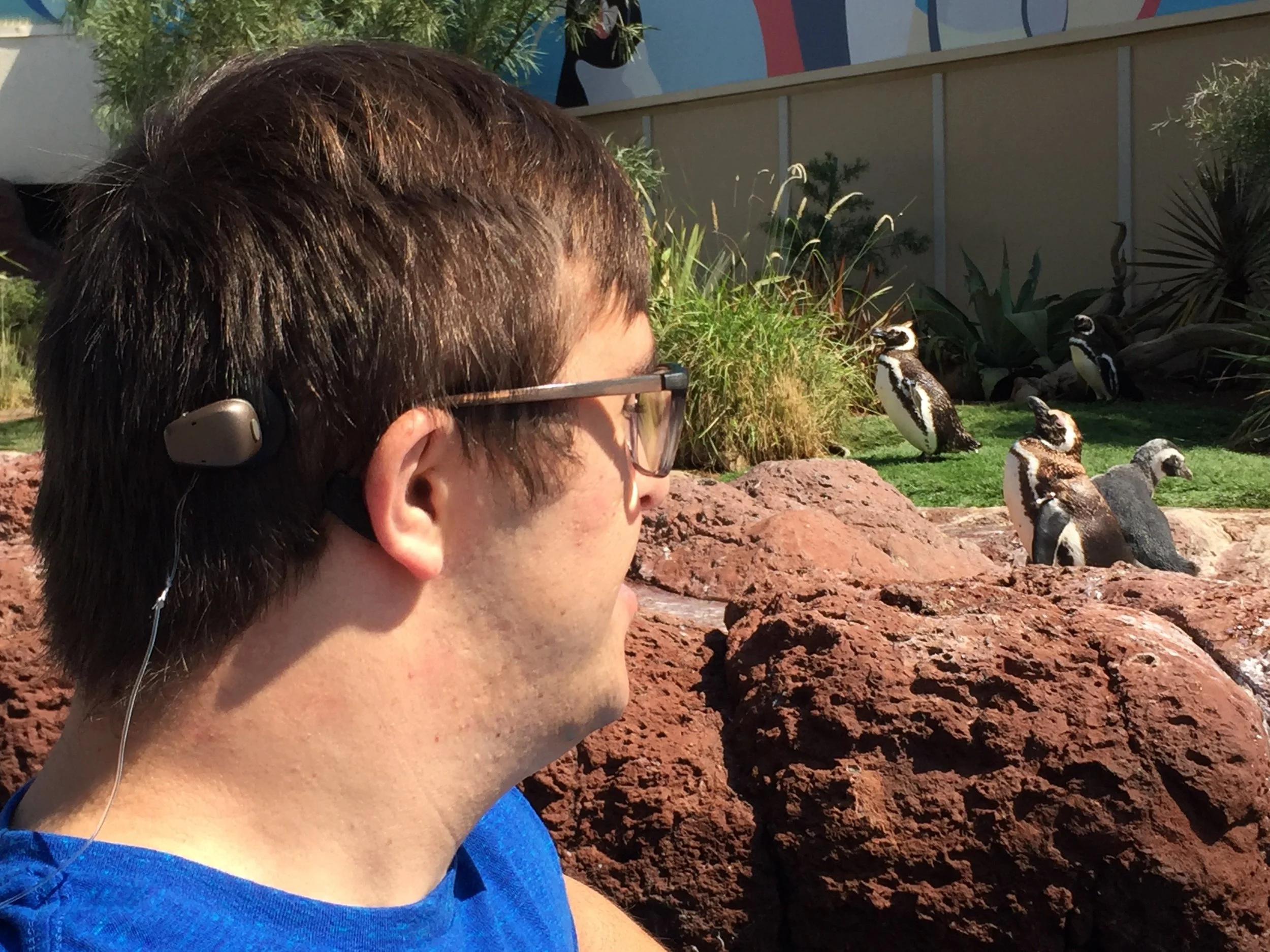 Sean enjoying the sights and sounds of penguins at the zoo. Photo by the McElwee family.