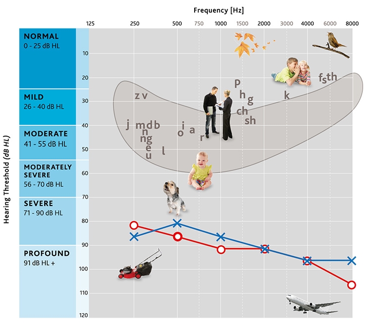 Animal Hearing Range Chart