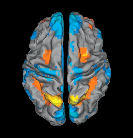 brain-research.jpg