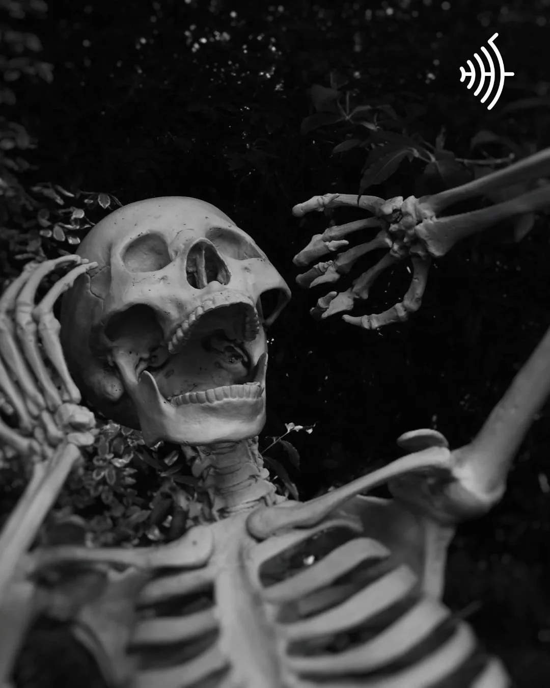 Even skeletons can't stand the noise! 🤣
And to learn why spooky sounds give us chills, check out our blog post ➡️ https://hearinghealthfoundation.org/blogs/why-spooky-sounds-give-us-chills
Happy Halloweekend!! 🎃👻🐈‍⬛🦇
We love this photo so