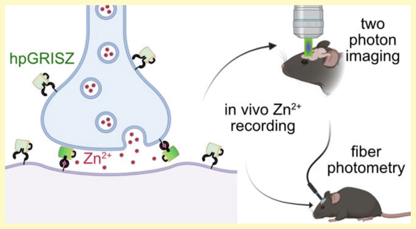manoj kumar acs sensors.png
