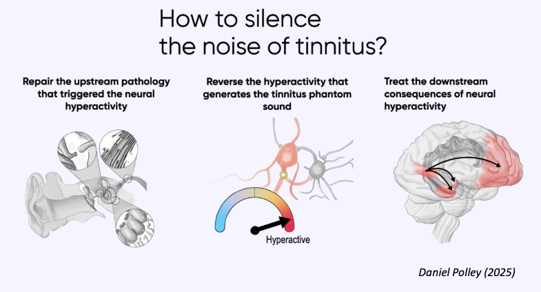 Dan Polley Tinnitus Quest.png