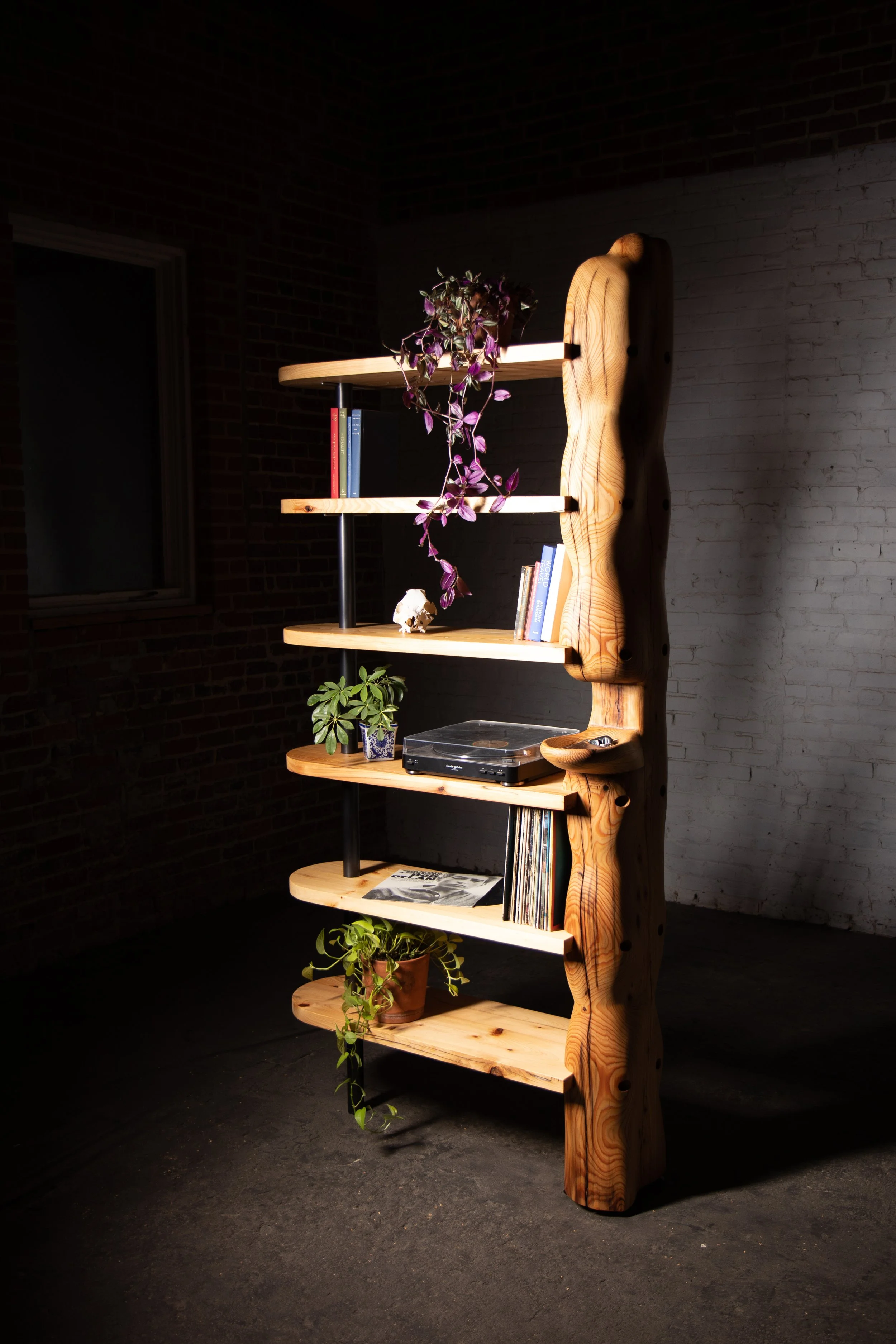 Goldilocks Plant Shelf