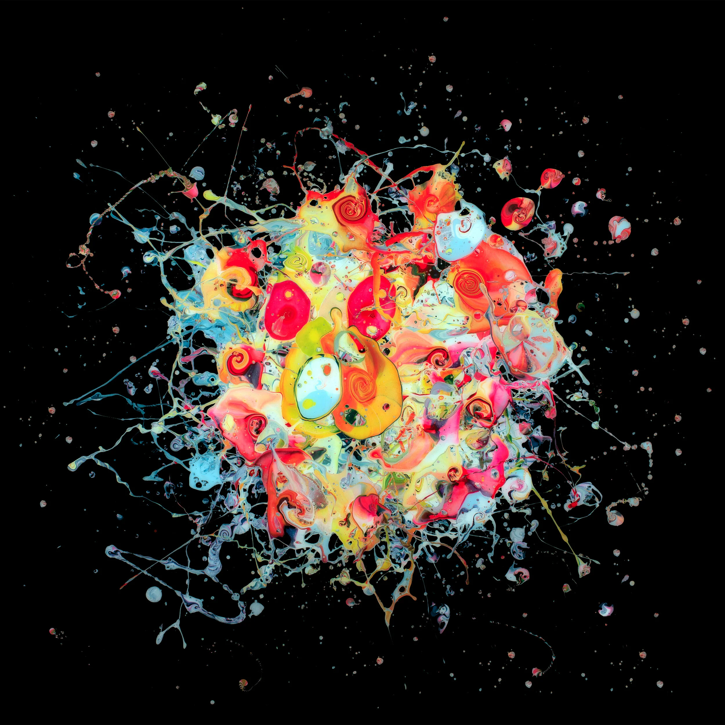 The Wormholes return with immersive new album "Light in the Dark"