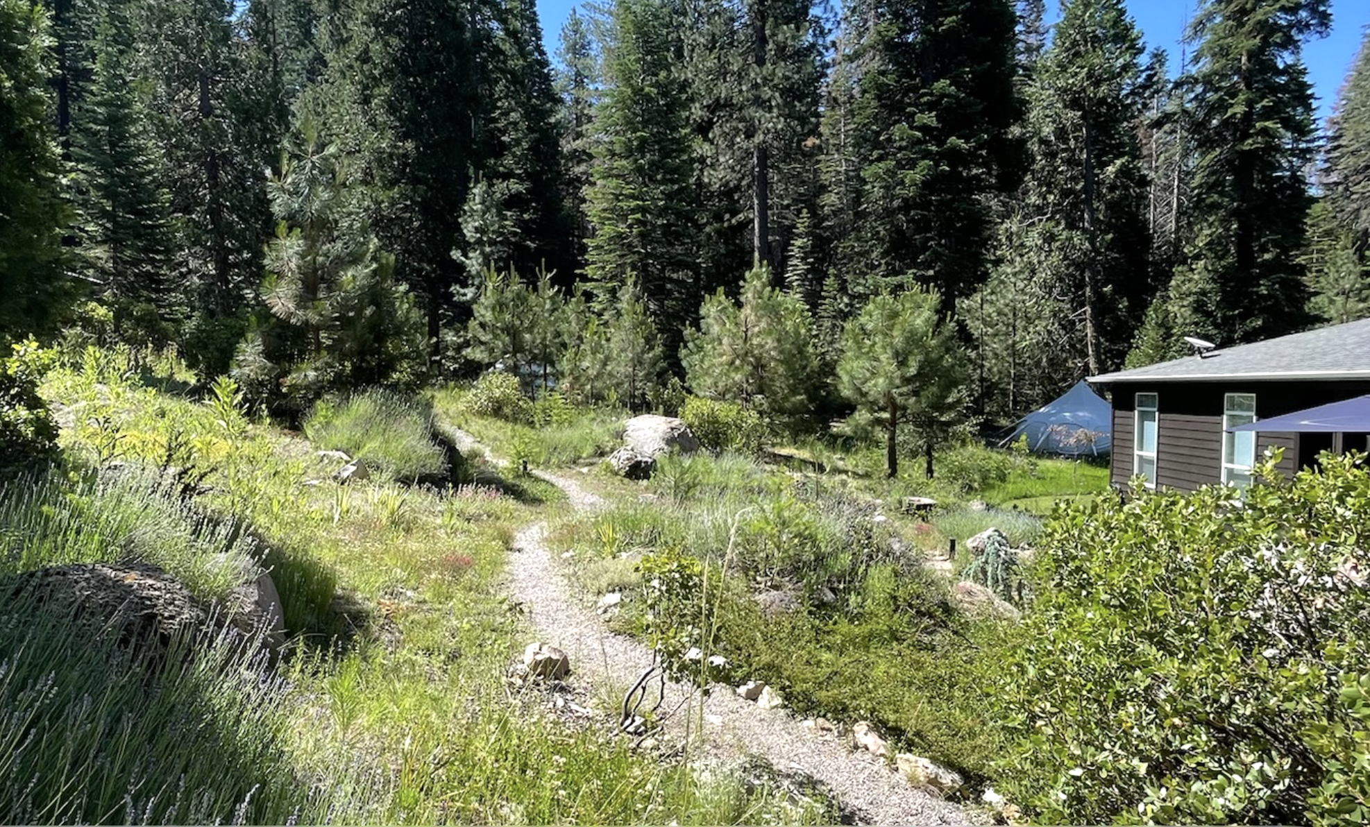 Screenshot 2026-03-02 at 10.49.44 AM.png