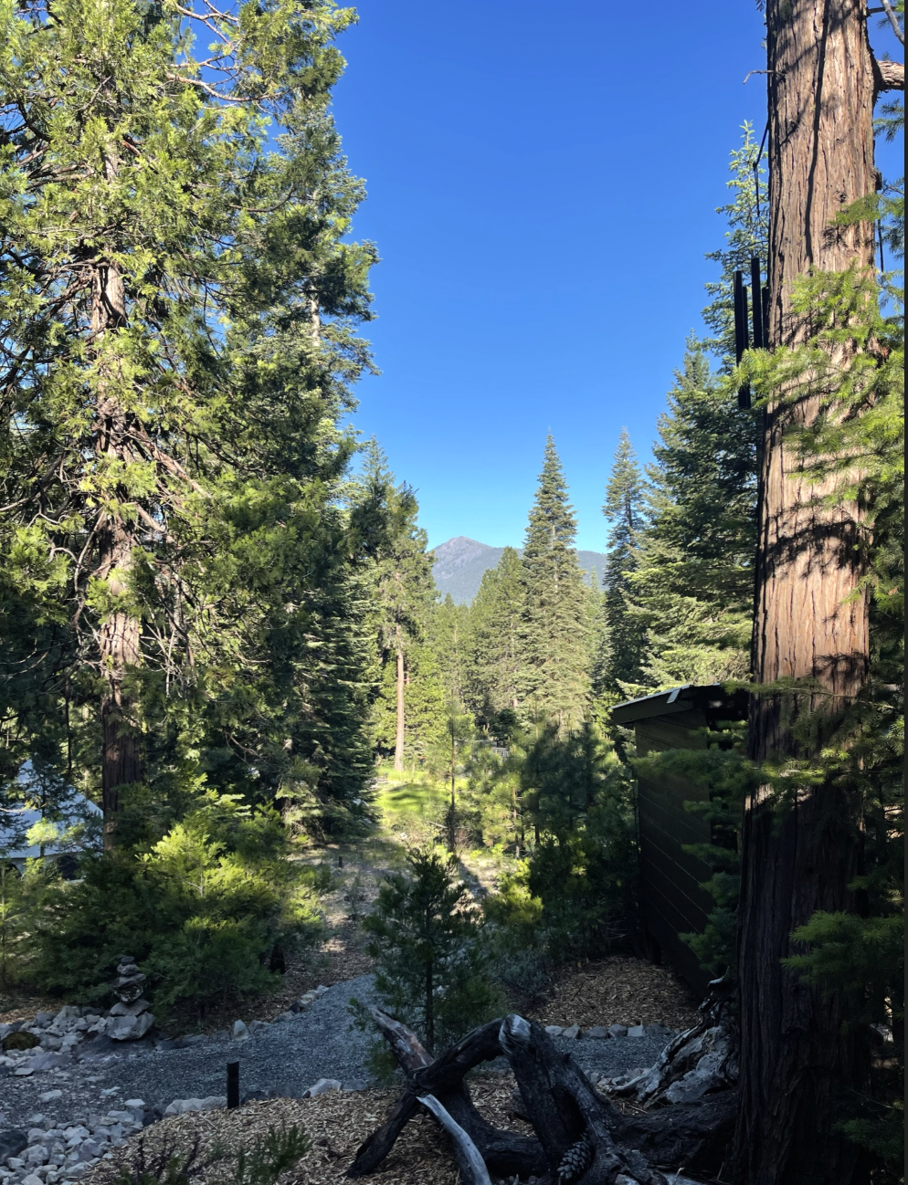 Screenshot 2026-03-02 at 11.57.53 AM.png