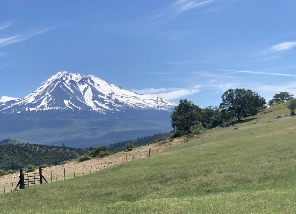 Screenshot 2026-03-02 at 12.01.17 PM.png