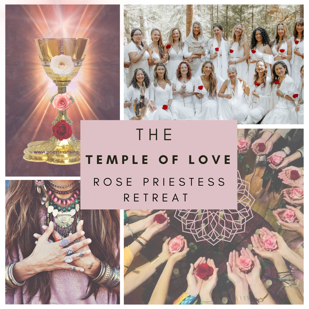 T-O-L-retreat-banner .png
