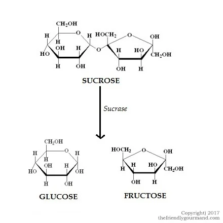The Guide To Fodmap Friendly Sugars And Sweeteners The Friendly Gourmand