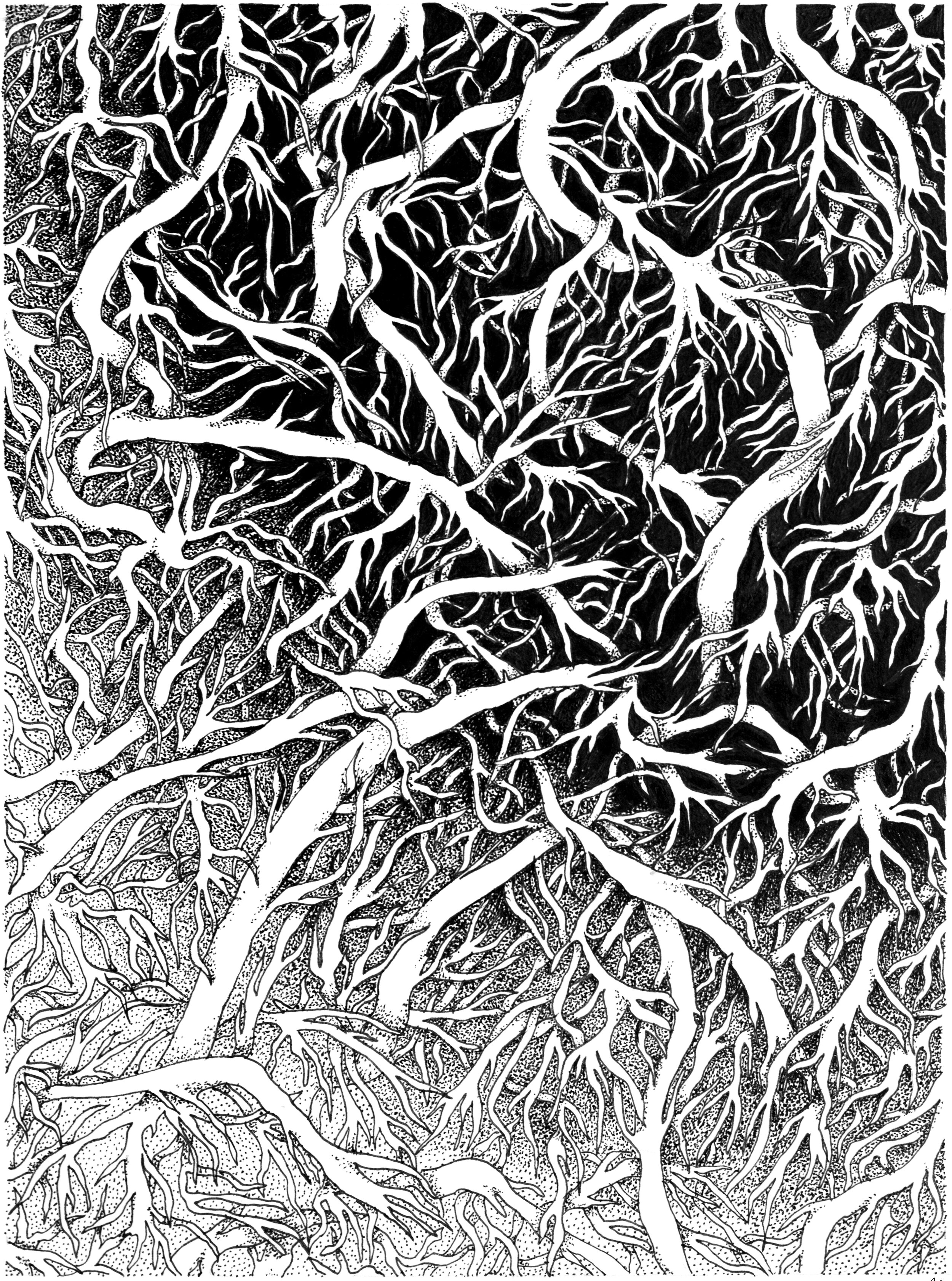 Root Bound