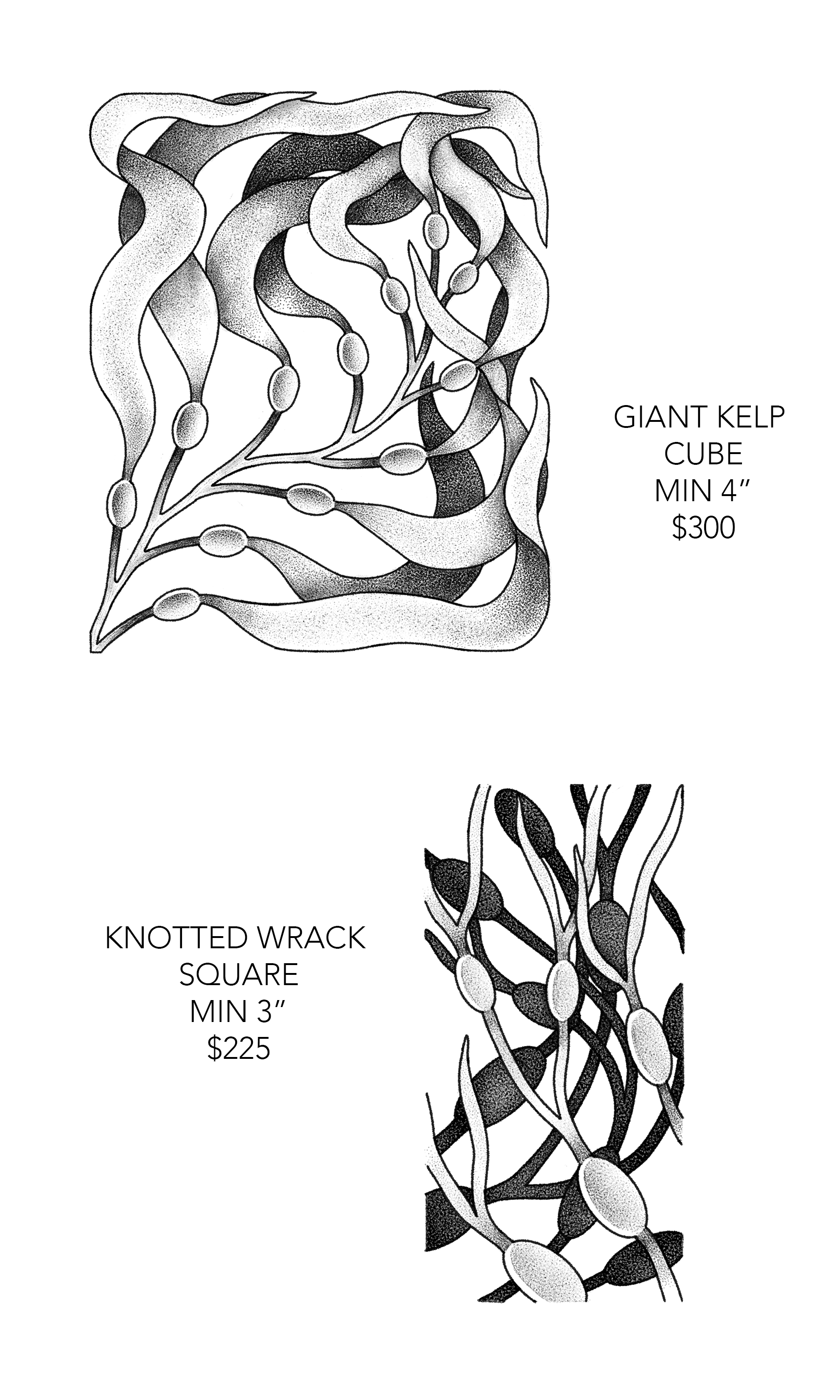 landandsea3.png
