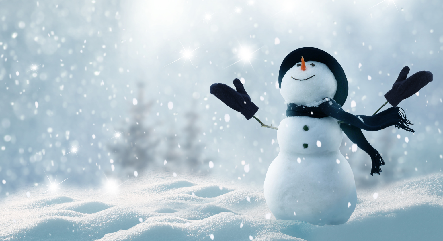 2024 Holiday Angels 8.5 x 11  (4).png