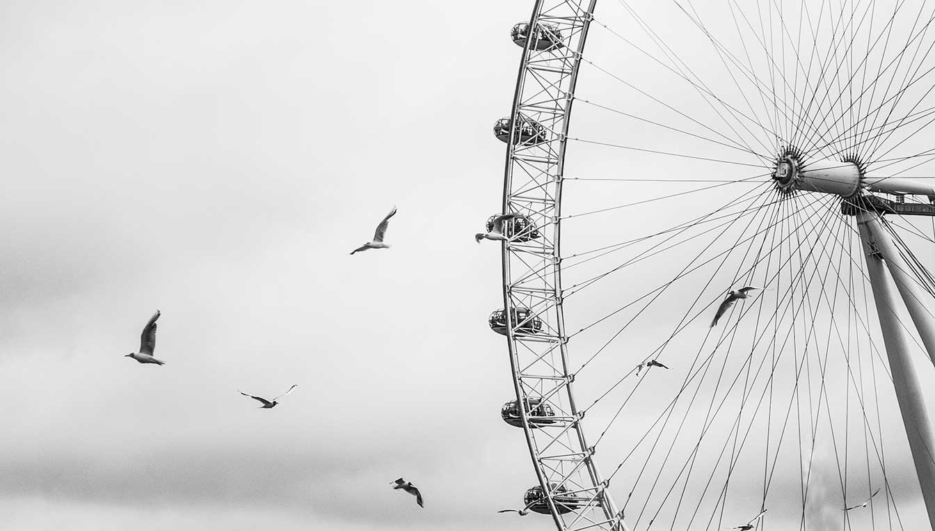 London-Eye-Birds_WEB.jpg