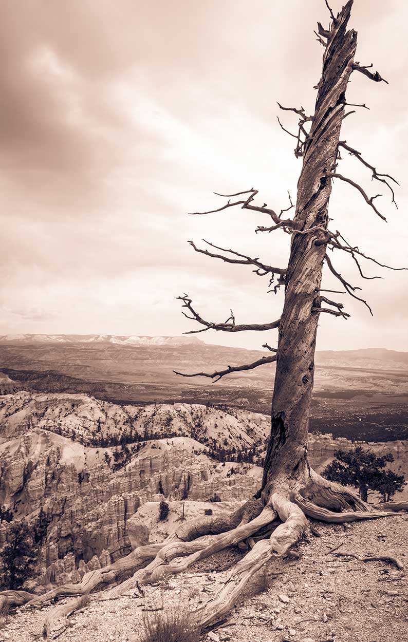 Bryce-Canyon-2.jpg