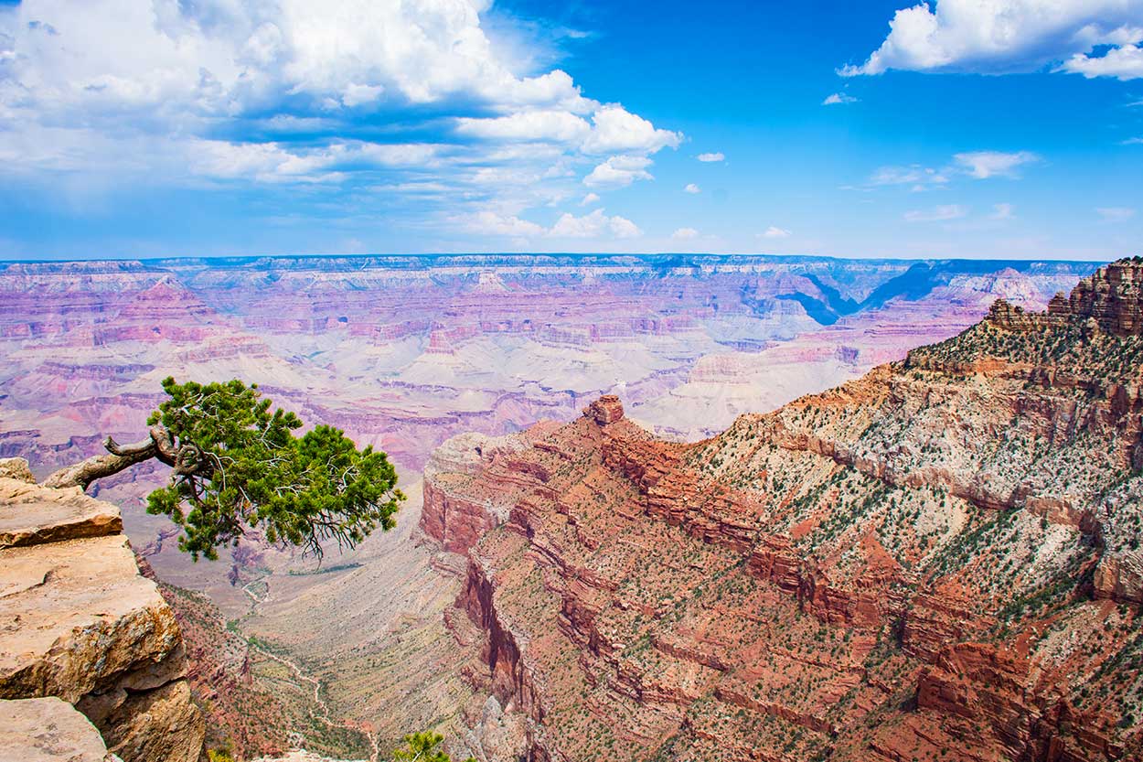 Grand-Canyon-5_WEB.jpg