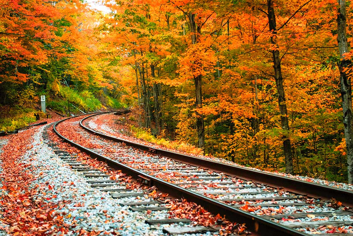 New-Hampshire-Train-Tracks_WEB.jpg