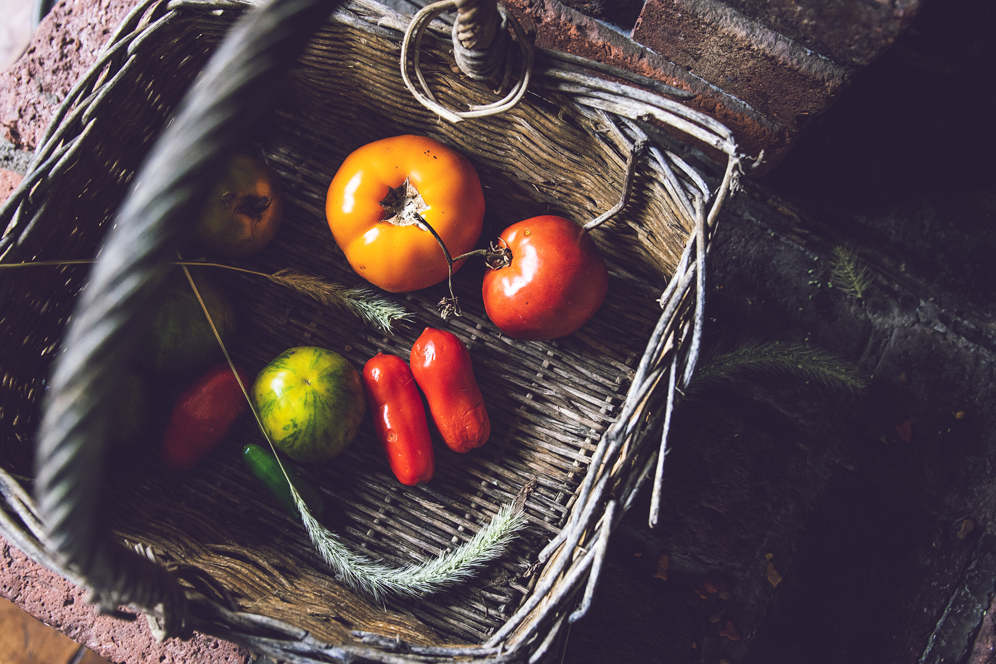 Tomatoes and Peppers Food Photography_WEB.jpg