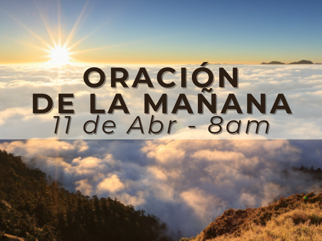 Morning (22).png
