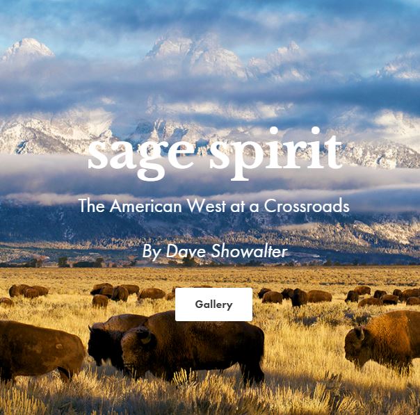 Sage Spirit