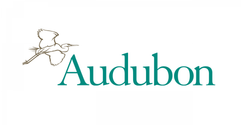 Audubon-480x250.png